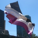 Asexual flag