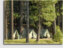 10 Boy Scout staffers quit in show of solidarity with fired gay scout camp counselor